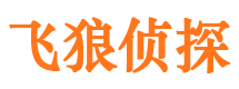 大新外遇调查取证